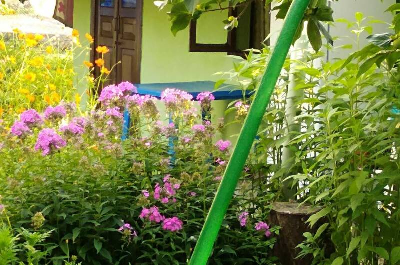 Коттеджи «У Люси»