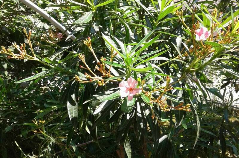 Коттеджи «У Люси»