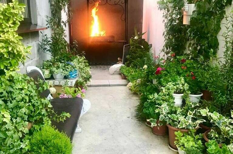 Гостевой дом «Южный»