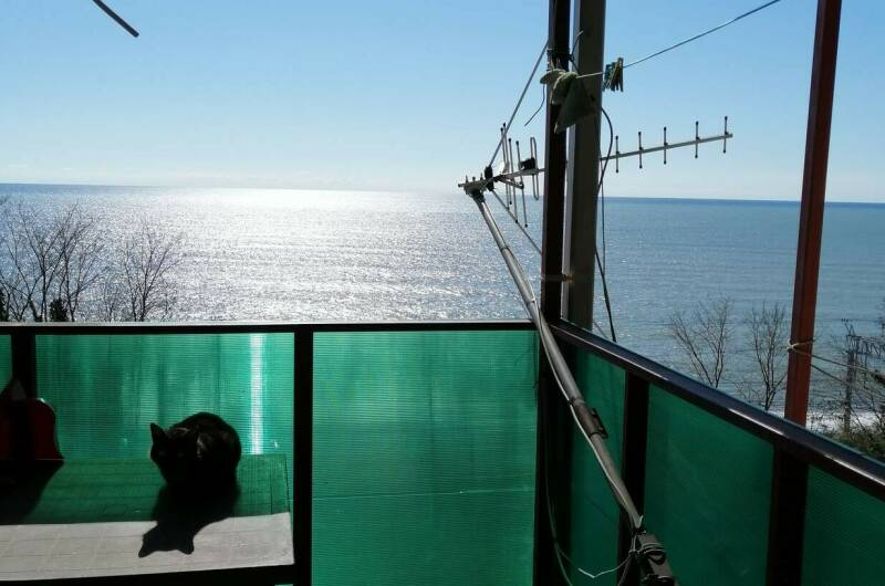 Гостевой дом «У Алика»