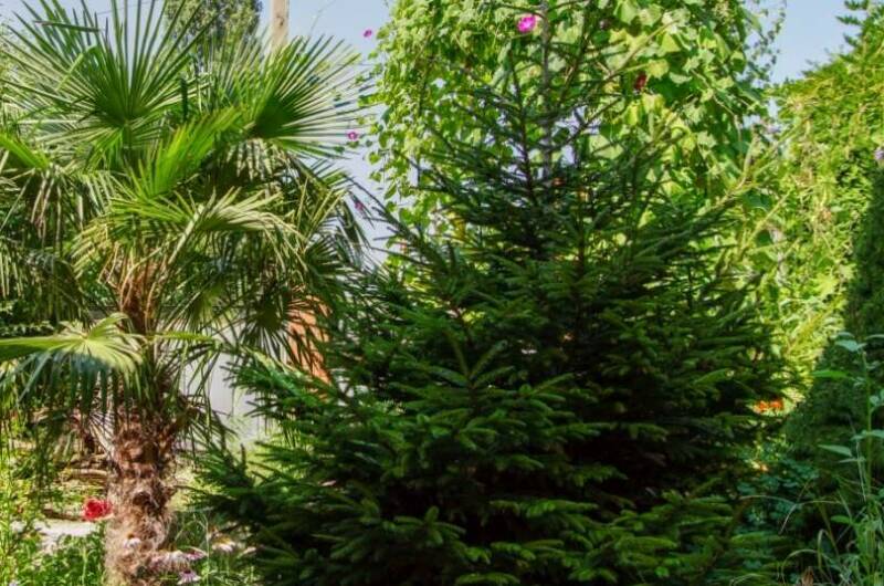 Гостевой дом «Аше»