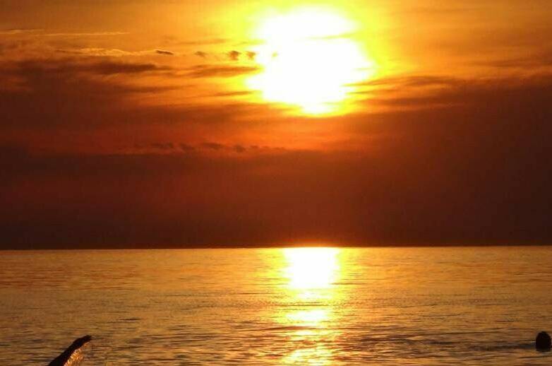 Апартаменты у моря