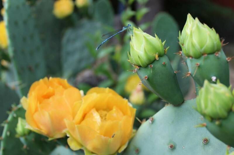 Гостевые комнаты «Домик у моря»