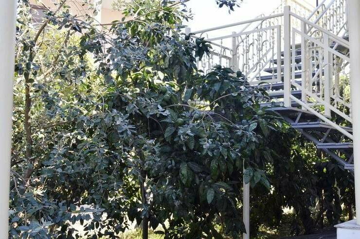 Гостевой дом «Эвелина»