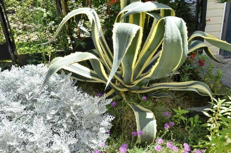 Гостевой дом «Эвелина»