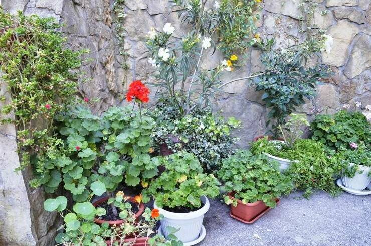 Гостевой дом «Эвелина»