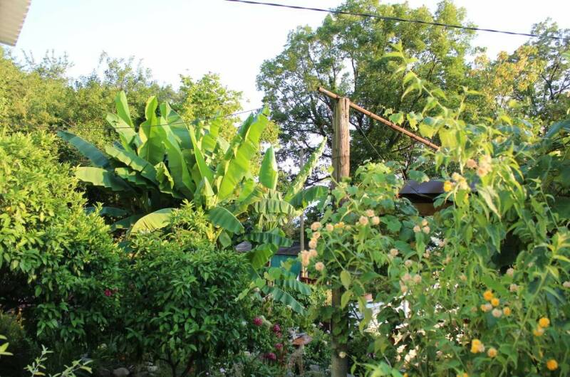 Гостевой дом «Александра»