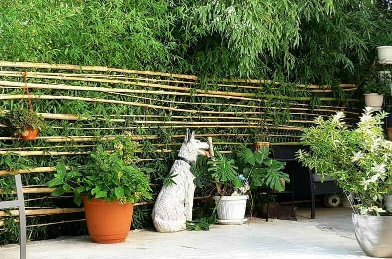 Дом под ключ «К Журавлям» на 5−9 гостей