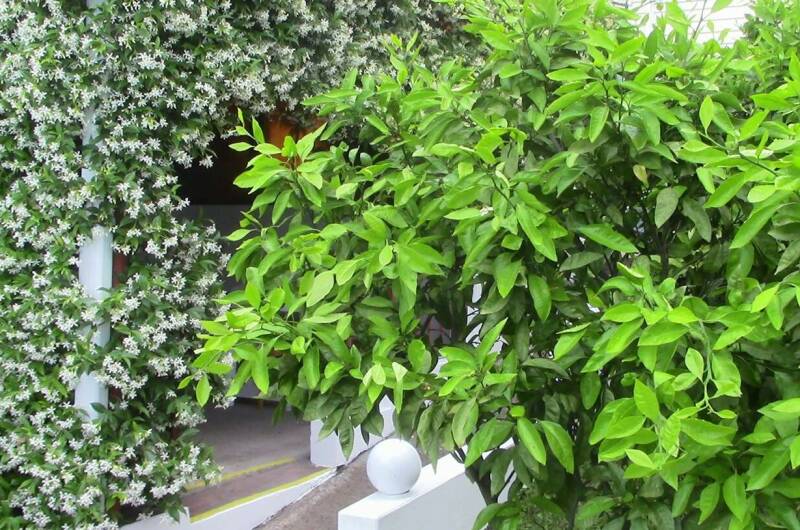 Гостевой дом «Бирюзовая Бездна»