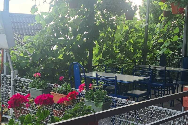 Гостевой дом «Аракс»