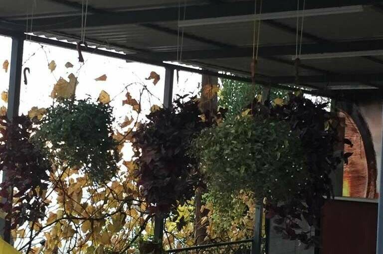 Гостевой дом «Аракс»