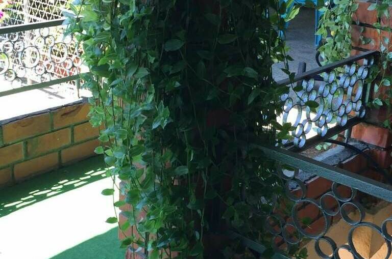 Гостевой дом «Аракс»