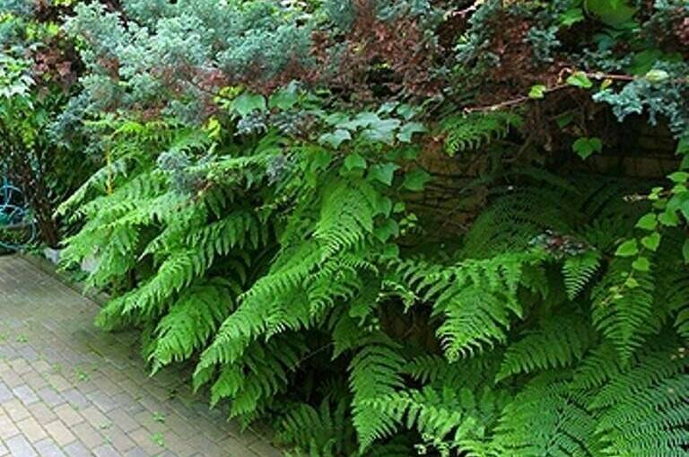 Коттедж «Отдых у Марины»