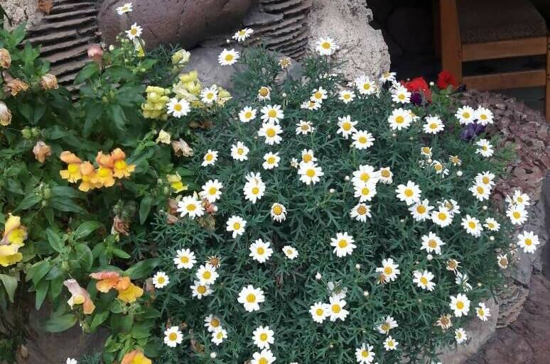 Гостевой дом «Тихая гавань»