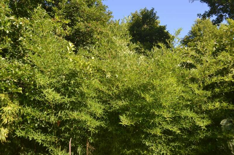 Гостевой дом «Виктория»