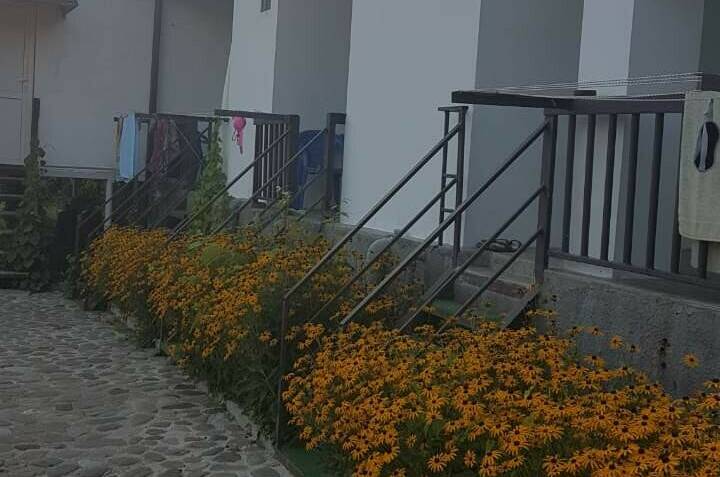 Гостевой дом «Ореховая роща»