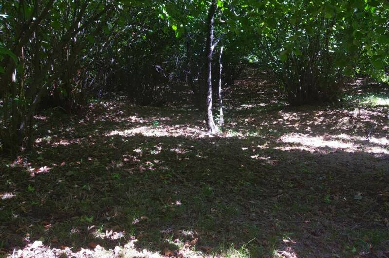 Гостевой дом «Ореховая роща»