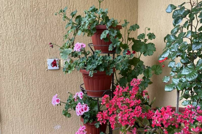 Гостевой дом «Жемчужина»