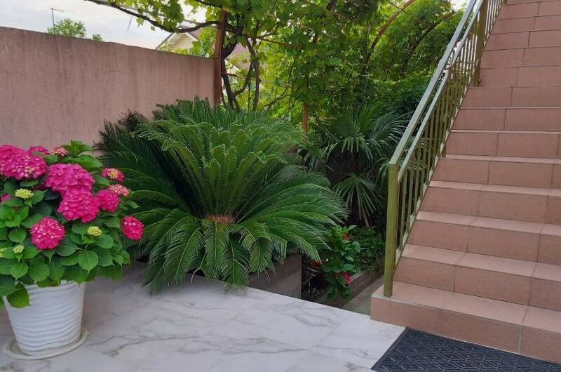 Гостевой дом «Черноморская жемчужина»