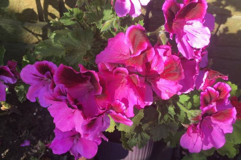 Частный сектор «СемьЯ»