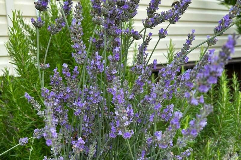 Гостевой дом «СанМарин»