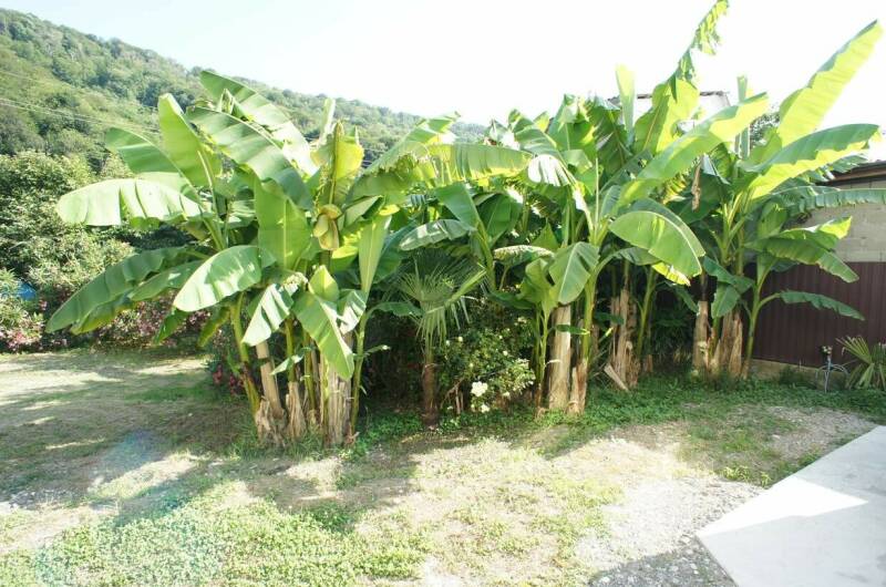 Гостевой дом «СанМарин»