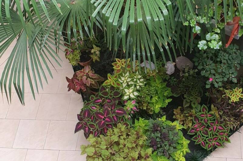 Гостевой дом «У Ирины на Калараш»