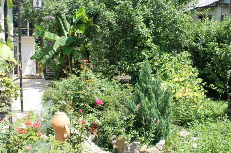 Гостевой дом «Хижина Чука»