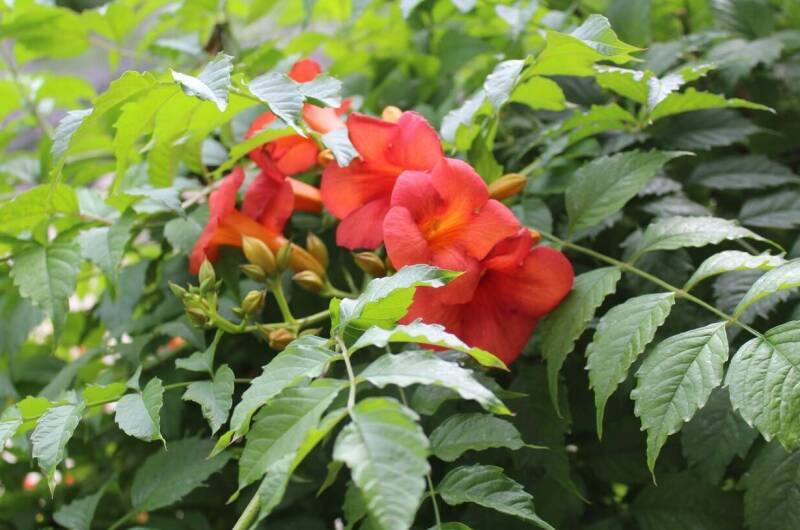 Гостевой дом «У Реки»