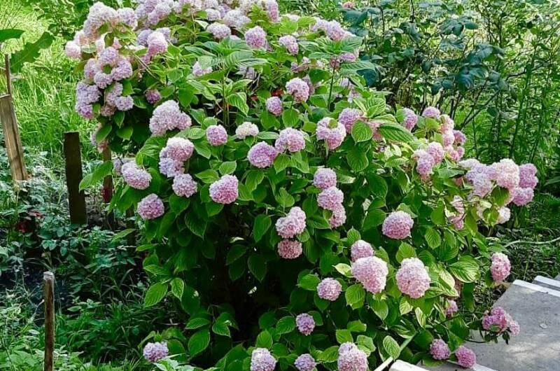 Частный сектор «Лидия»