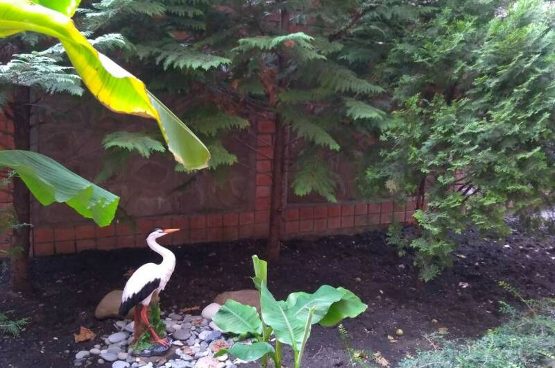 Гостевой дом «Alina»