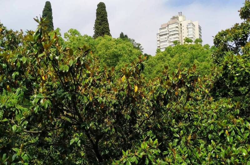 Двухкомнатная квартира на Победы 77