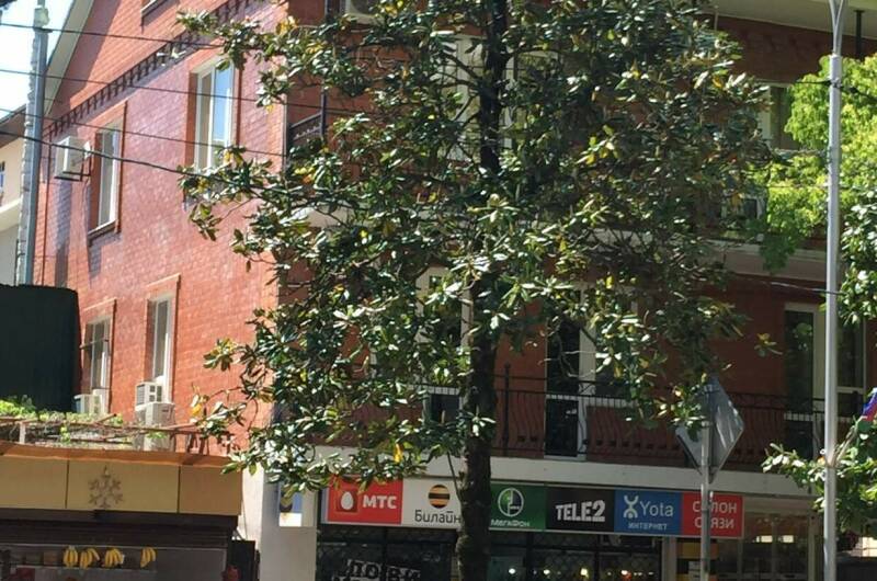 Частное домовладение «У Дарьи»