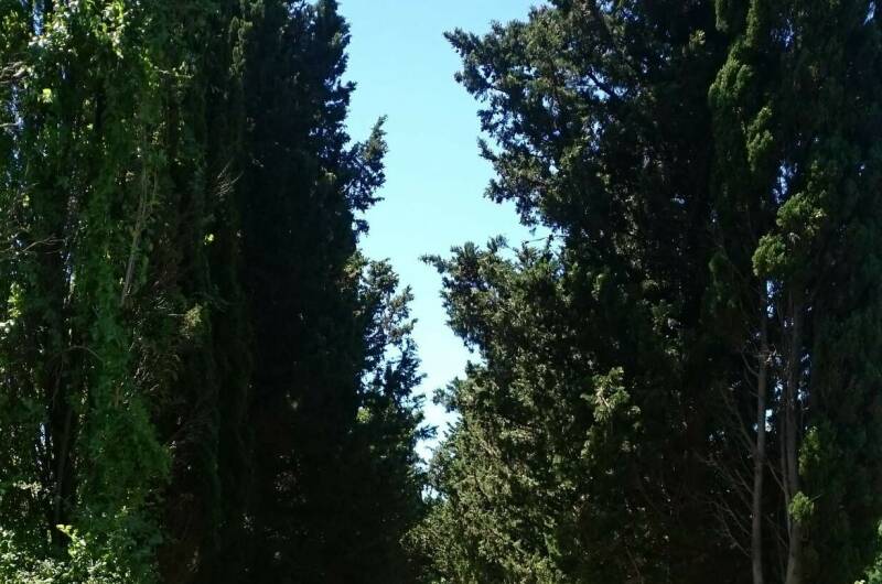 Гостевой дом «VineHouse»