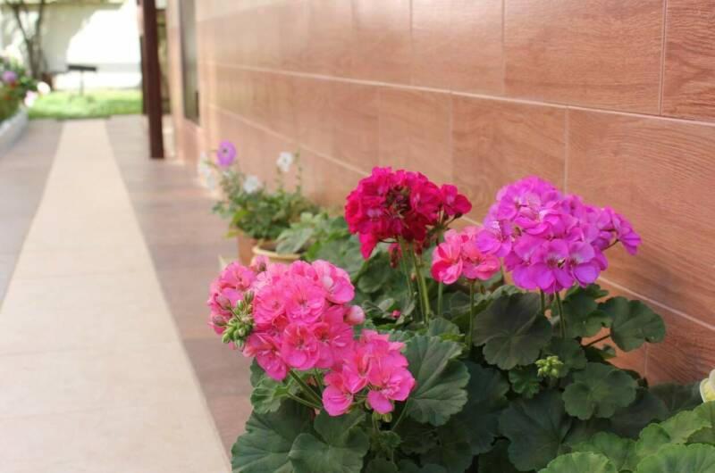 Частный дом на Нахимова