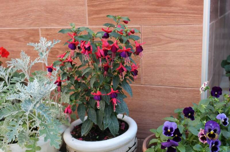 Частный дом на Нахимова