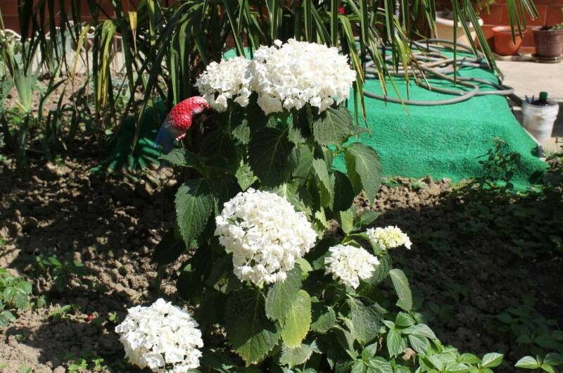 Частный дом на Нахимова