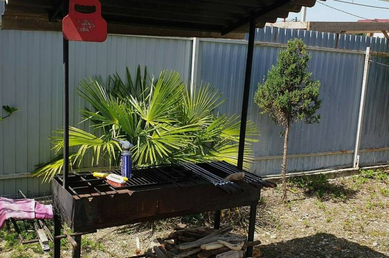 Гостевой дом «Атлантида»