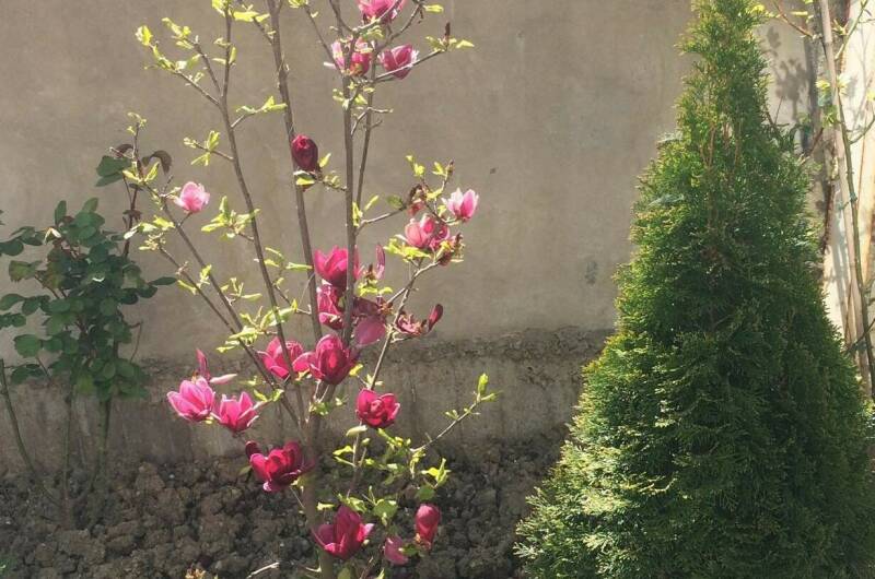 Гостевой дом «У Орыси»