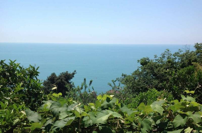 Гостевой дом «Рай у моря»