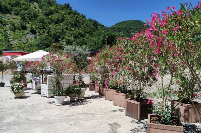 Гостевой дом «Уда-ча»