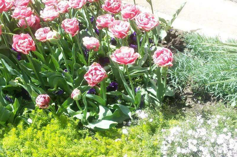 Комната в частном доме «Надежда»