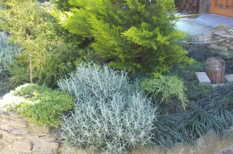 Комната в частном доме «Надежда»