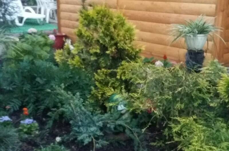 Комната в частном доме «Надежда»