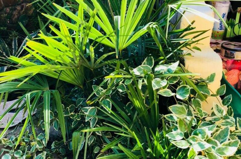 Частный дом «Лето 15»