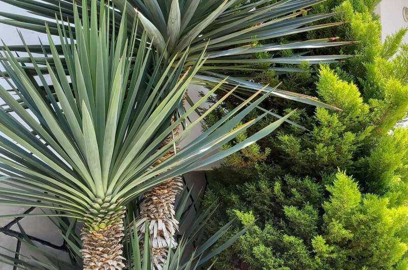 Гостевой дом «Гаро»