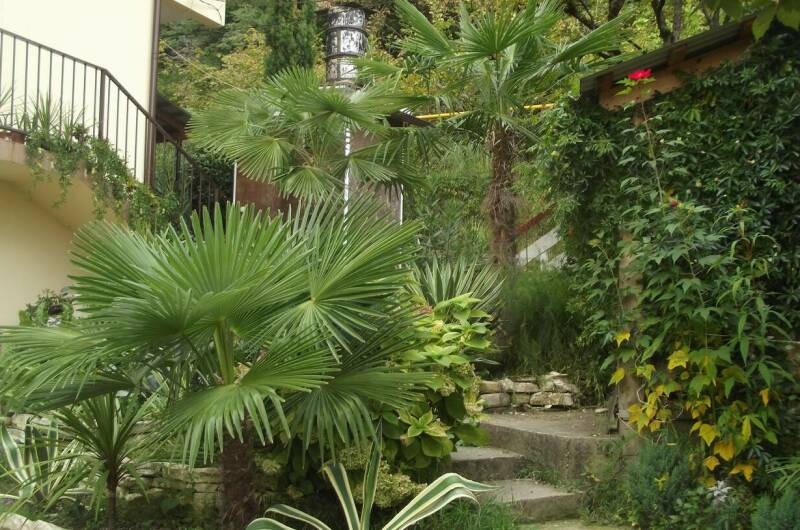 Гостевой дом «У Ильгиза»