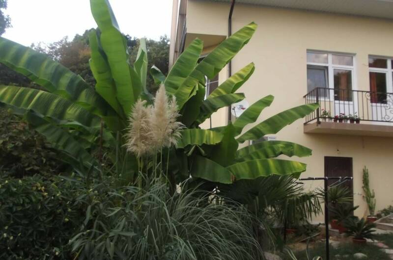 Гостевой дом «У Ильгиза»