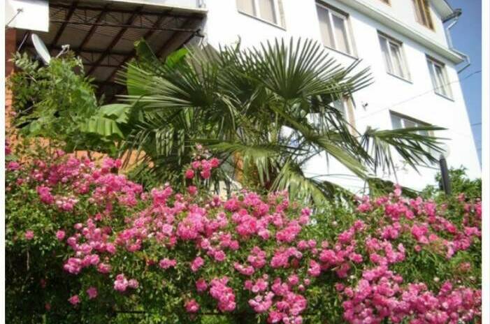 Гостевой дом «Эрика»