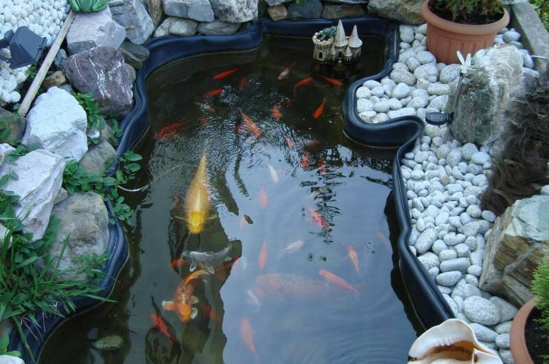 Гостевой дом «Эрика»